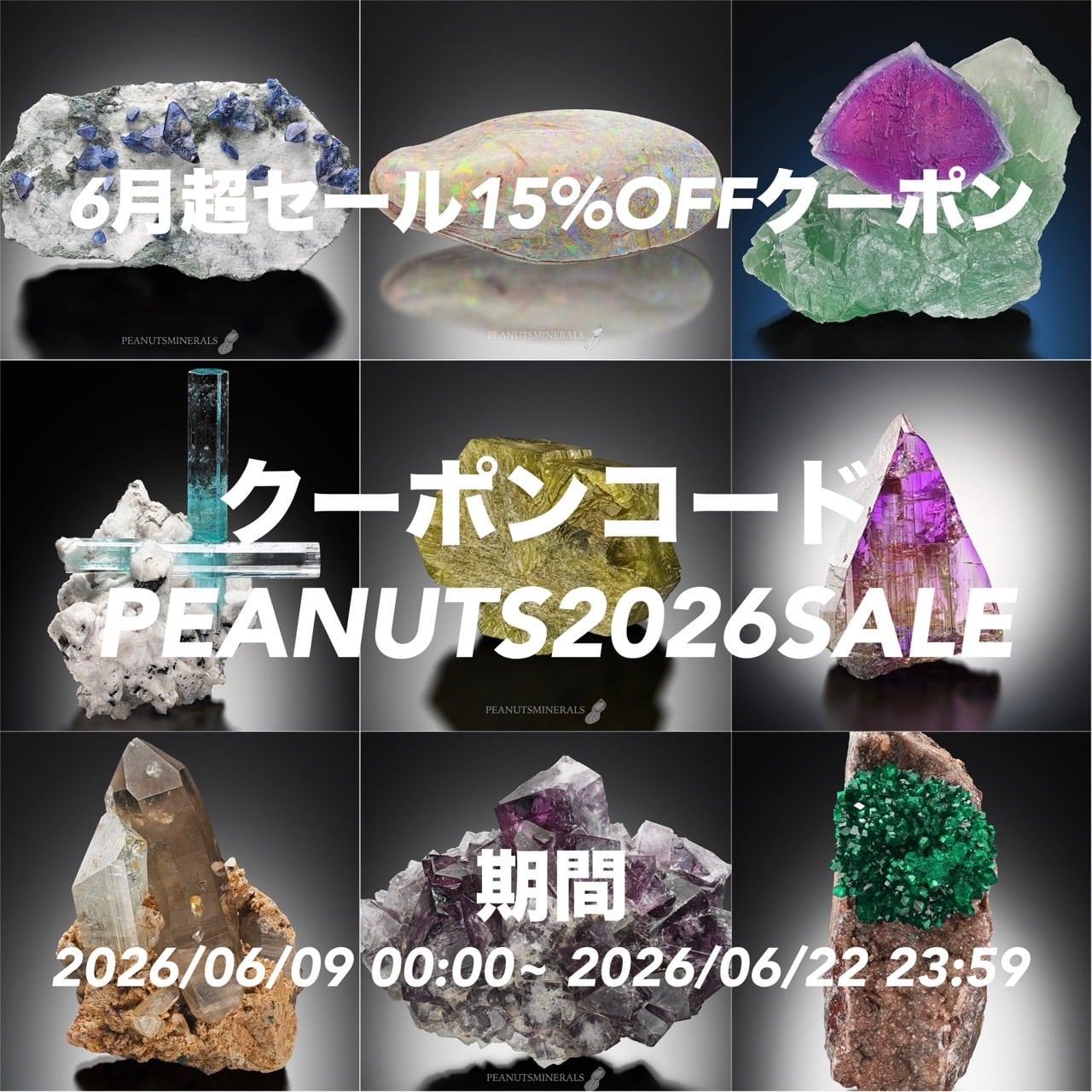 ※有効期間中 6月9日 〜 6月22日 23時59分まで有効 15%OFFクーポン(上限・回数制限無し)のお知らせ