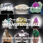 ※有効期間中 6月9日 〜 6月22日 23時59分まで有効 15%OFFクーポン(上限・回数制限無し)のお知らせ