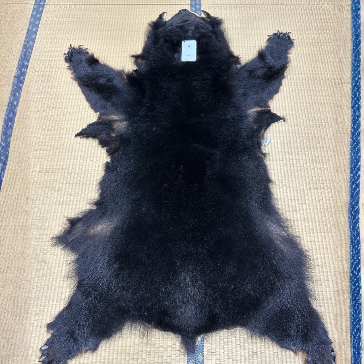 【マタギの熊革】