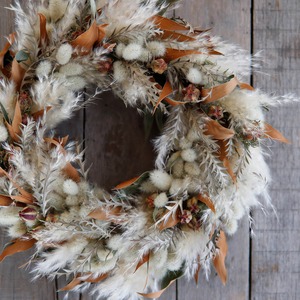 シンプルインテリアのフォーカルポイントに♪【 約直径38cm 】 パンパスグラスとグレビレアゴールドリーフの大きなふわふわリース＊ フラワーリース ドライフラワー 韓国 北欧 ナチュラル インテリア 開店祝い 誕生日 ギフト くすみカラー おしゃれ 枝もの パステル