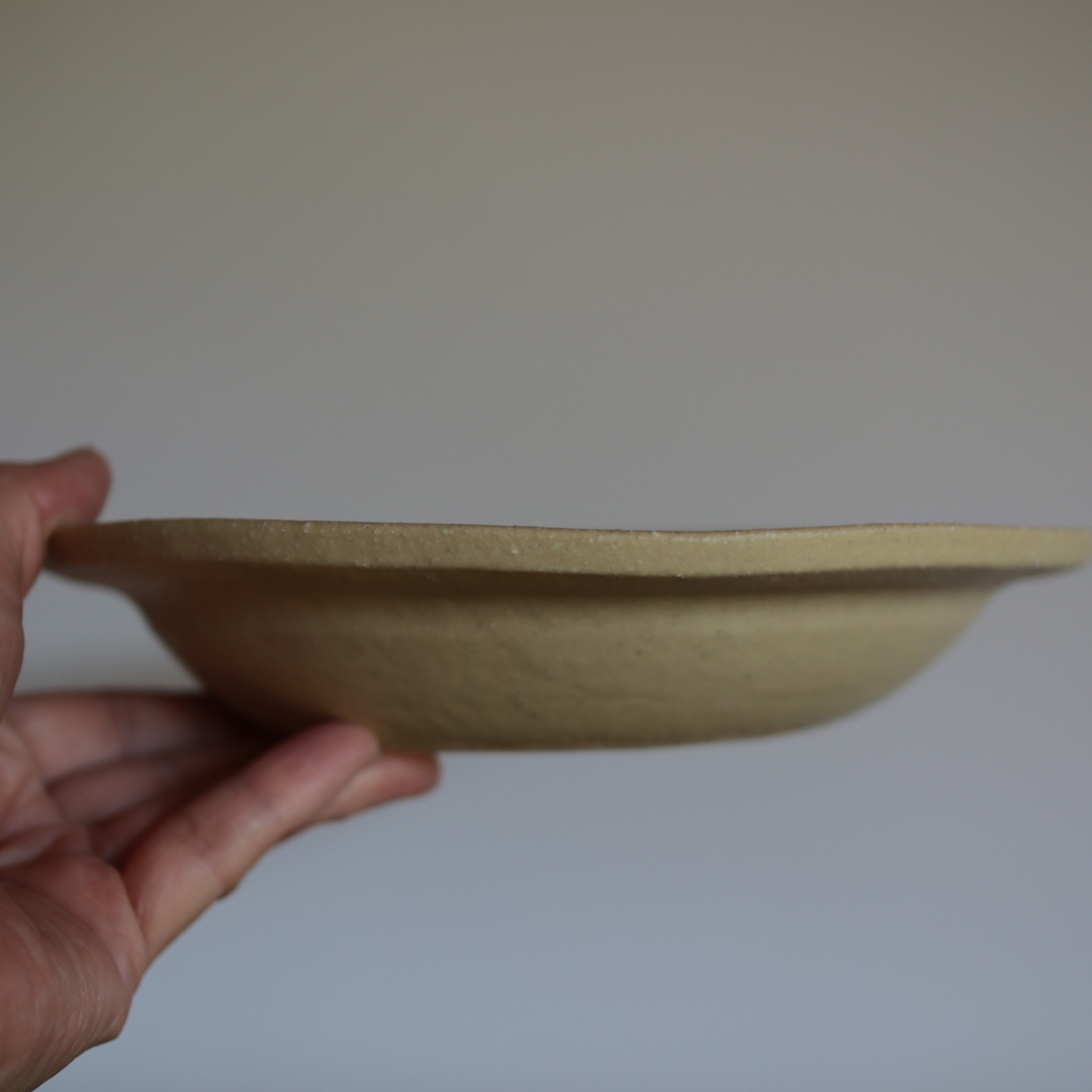 綿貫彩 鉢 カレー皿 パスタ皿 ねこ | 月森 utsuwa&gallery tsukimori