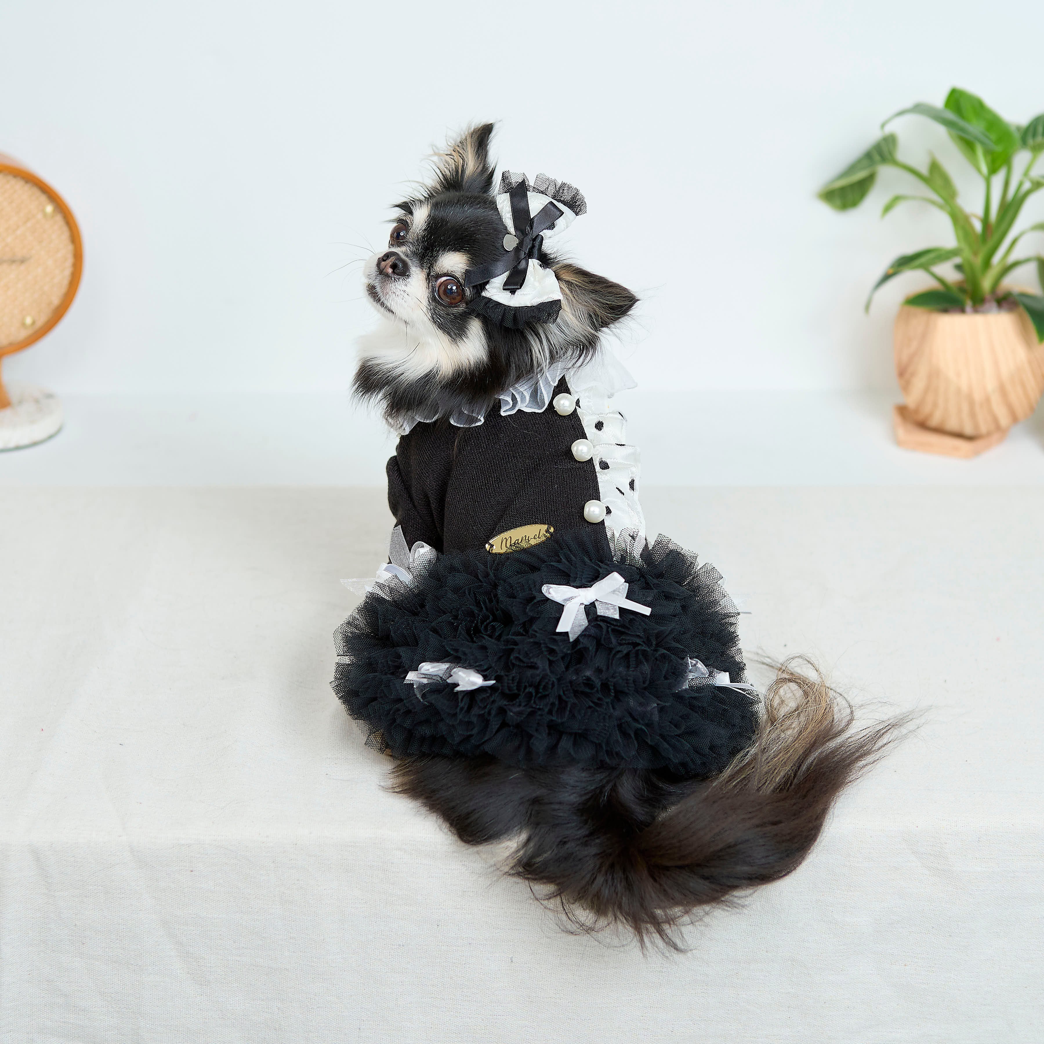 マルベル　『Tulle　Bow　Onepiece』 ご予約☆Tulle Bow Onepiece | Marvel