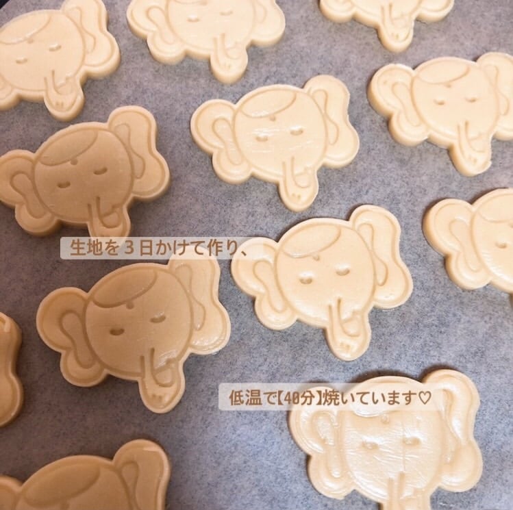 ぞうさんクッキー | 紅茶専門店 ぞうさんの夢じかん