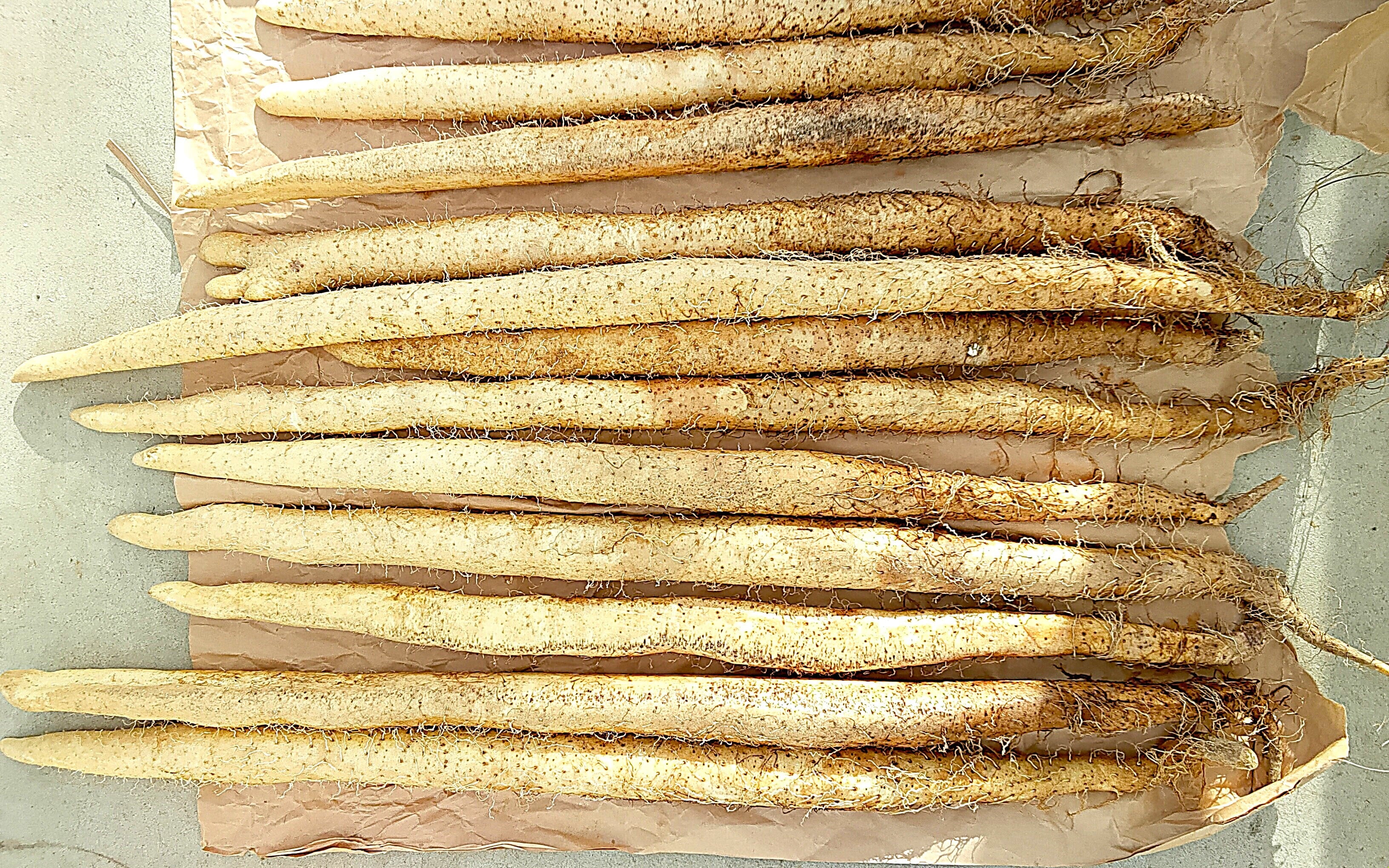 富山県産 山芋(自然薯) 真空パック 200g相当 3本入り | 幸あふるる