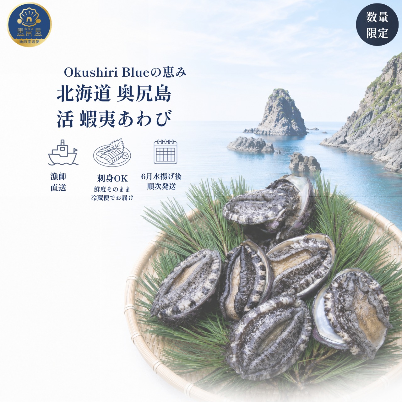 【数量限定】奥尻島 活 蝦夷あわび 500g