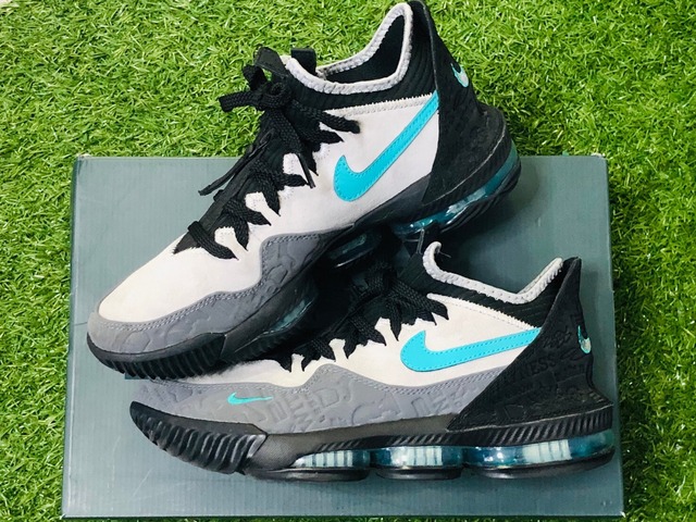 NIKE × atmos LEBRON XVI LOW AC JADE CD9471-003 25cm JF6884