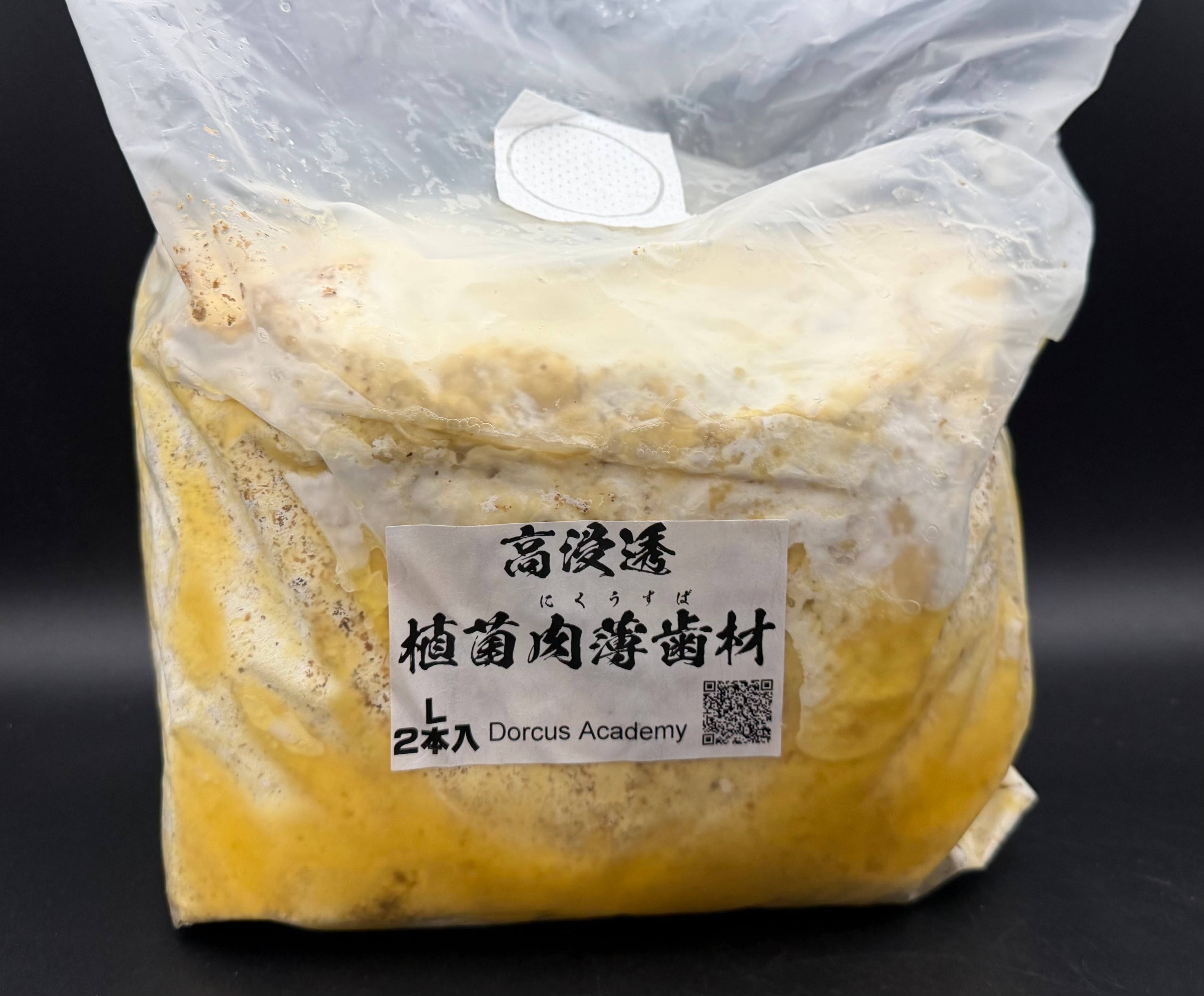 ベトナム材　VN材　13cm×20cm 産卵木 VN材（ベトナム材）Mサイズ 1本 | KPW BASE店