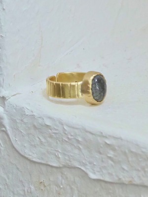 CUTTING STONE RING/ Black Fossil Coral
