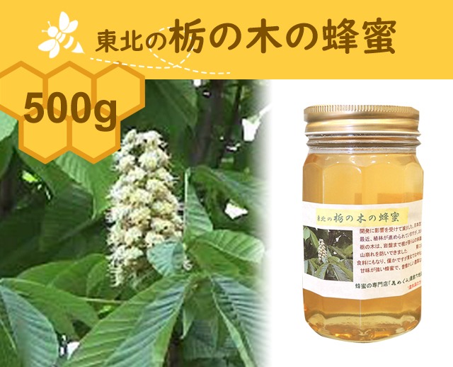 500g 東北の栃の木の蜂蜜