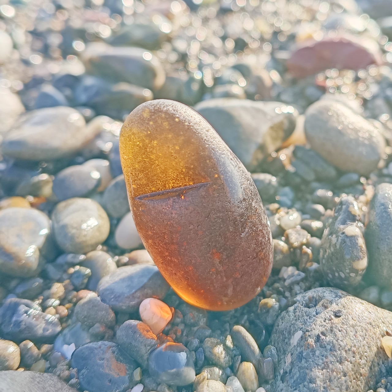 ALL ITEM | シーグラス専門店 evening calm