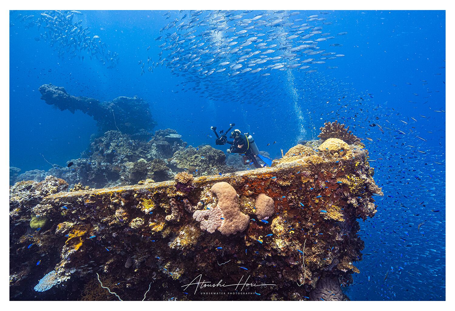 富士川丸 / Fujikawa Maru
