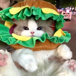 猫 帽子 犬 帽子 ペット 帽子 ハンバーガー コスプレ 猫用 犬用 被り物 かぶりもの ペット用品 かわいい おもしろ 変身 なりきり コスチューム 仮装 ペットウェア 猫グッズ 犬グッズ 小型犬 猫用帽子 ふわふわ 写真撮影 SNS映え 誕生日 ハロウィン クリスマス S M L 商品画像2