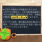 [予約受付中 11月発送] 次郎柿 B品 【3kg】