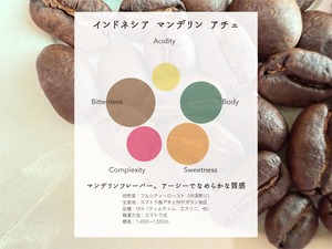 インドネシア マンデリン アチェ スマトラ式 500g（250g×2袋）