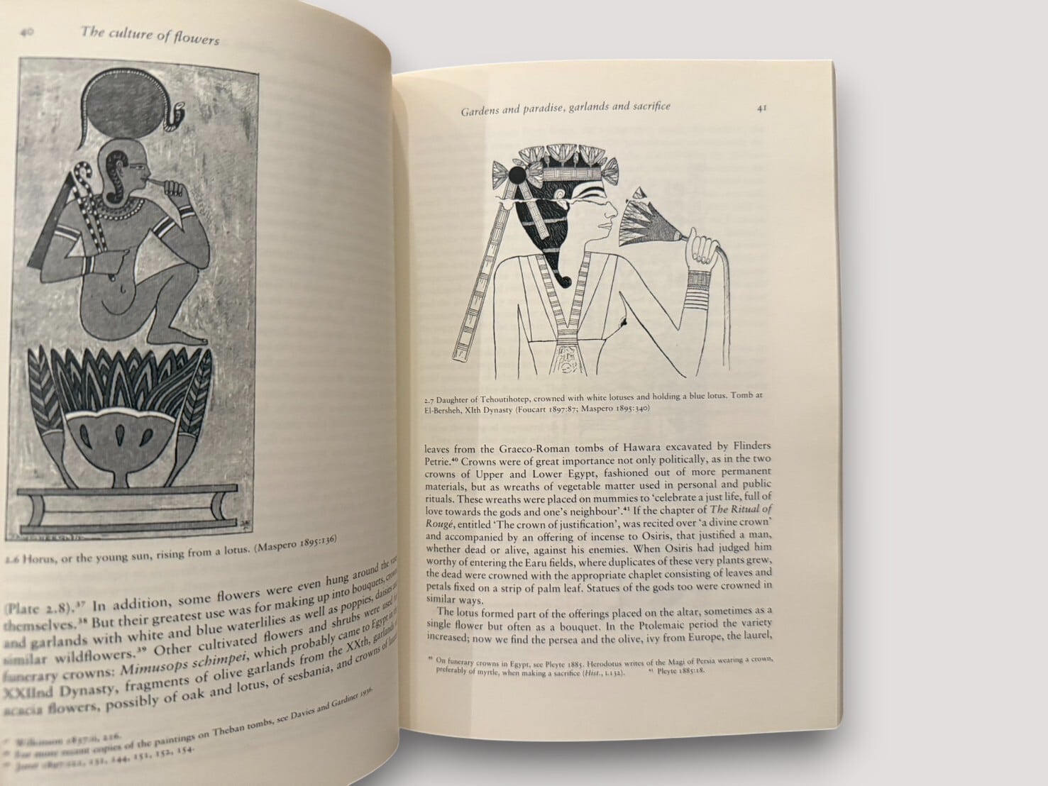SS221】【REPRINT】The Culture of Flowers(1993) /Jack Goody