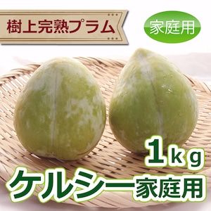 プラム『ケルシー』家庭用1kg