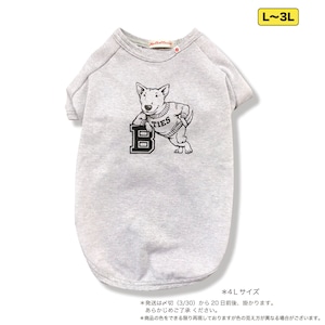 ブルテリア 犬用Tシャツ　ヘザーグレーL〜3L