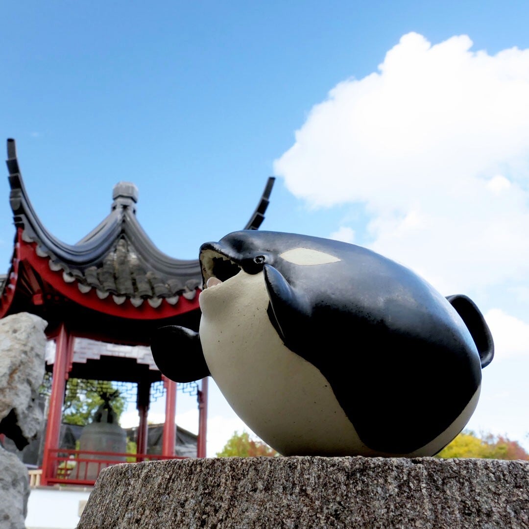 ALL ITEM | セラミミックonlinestore