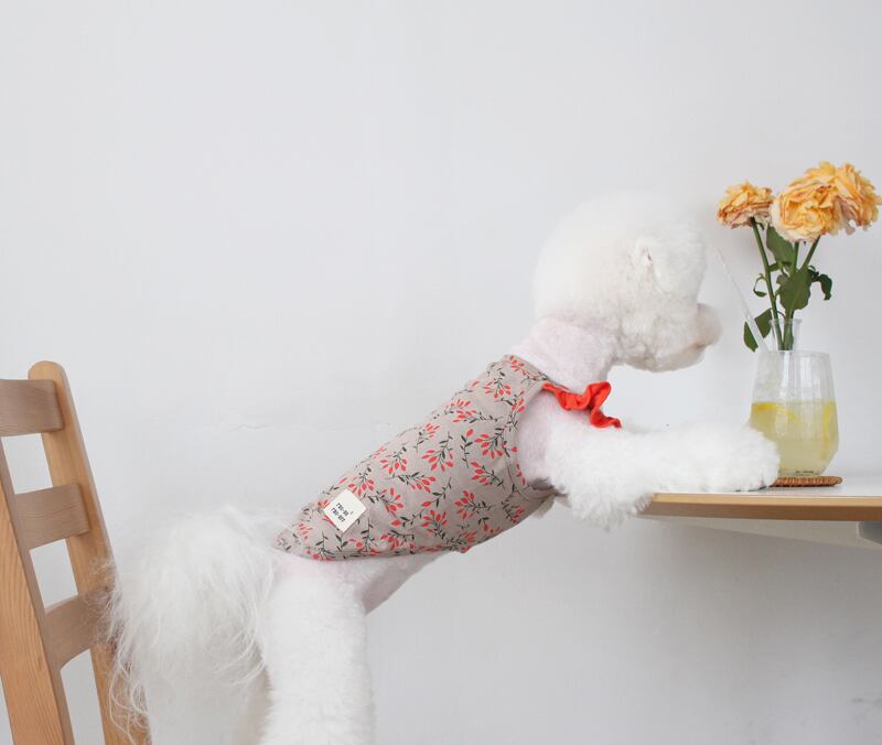 【SALE】フルーツフリルタンクトップ S ~ XL 2color /  犬服 夏 新作 おしゃれ ドッグウェア 可愛い 犬の服 小型犬 中型犬 ペット用品 ペット洋服