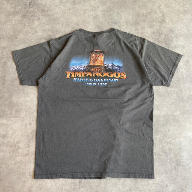 ハーレーダビッドソン Tシャツ 古着 両面 プリント L グレー 12906
