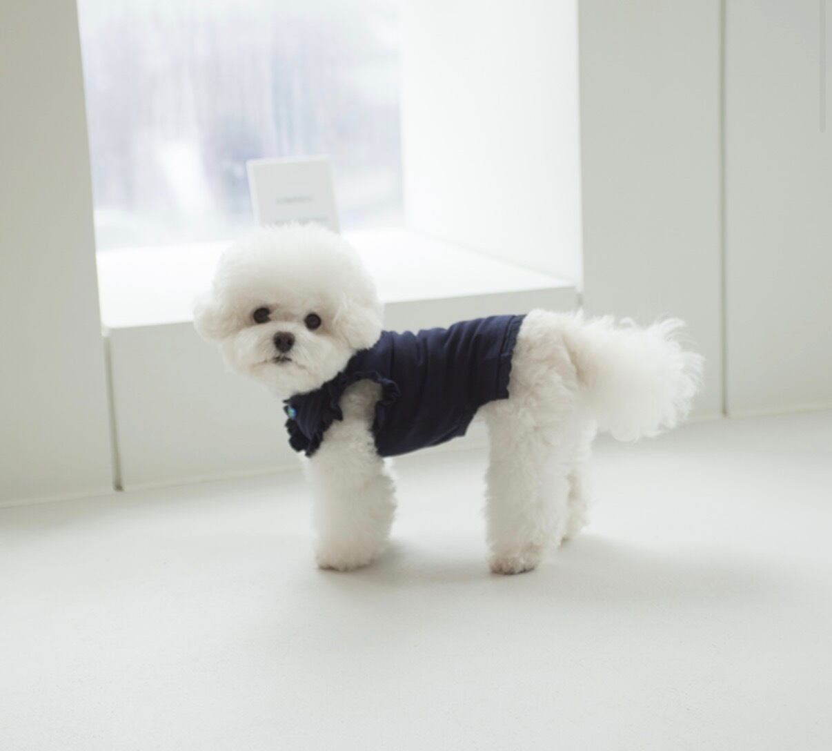 【Coco Chen 】ルセラTシャツ