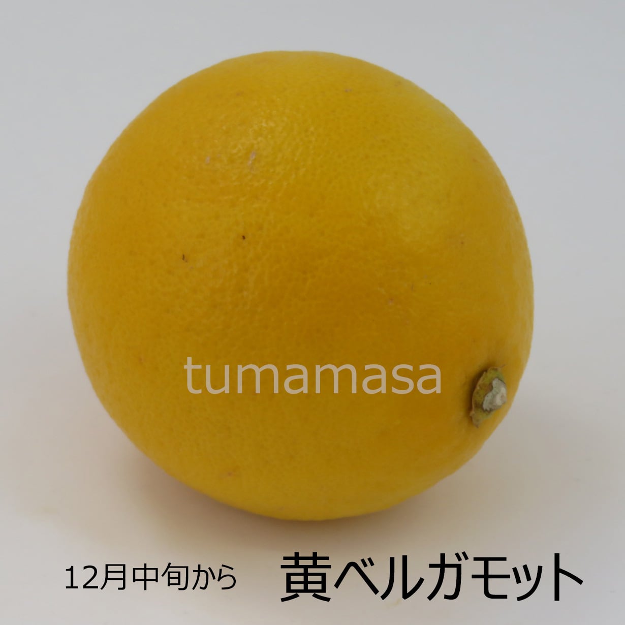 ベルガモット（PC・2個入） | tsumamasa