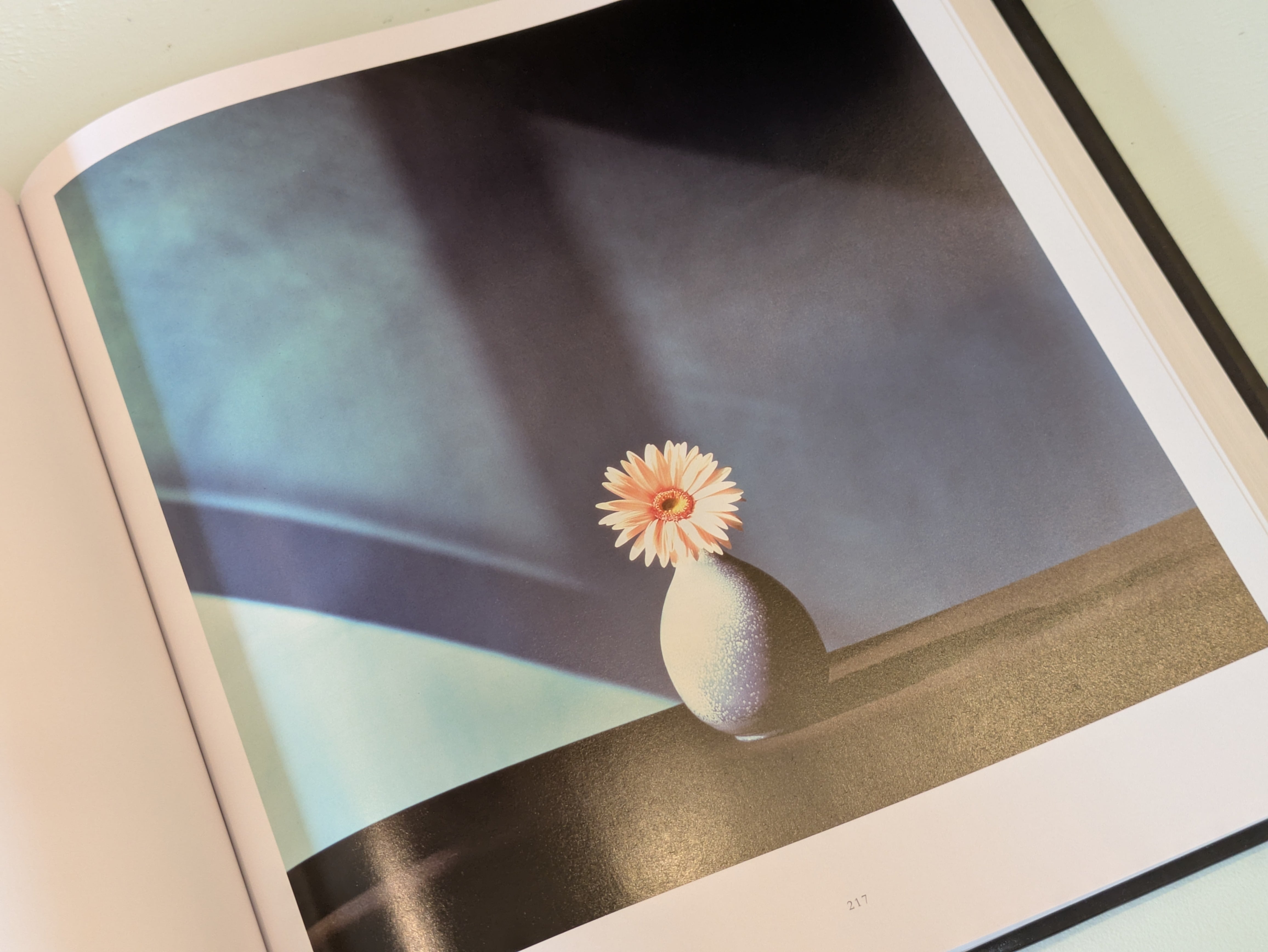 Mapplethorpe Flora : The Complete Flowers : Robert Mapplethorpe