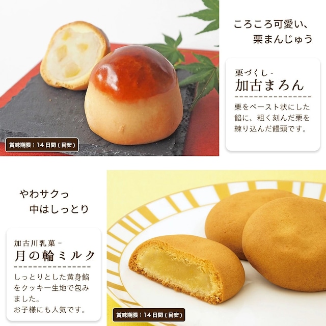 春の和菓子詰め合わせ「花」#春限定#お祝い#お供え#ギフト#和菓子#お取り寄せ#土産#プレゼント#進物