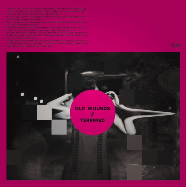 【DISTRO】F.P / OLD WOUNDS/TERRIFIED