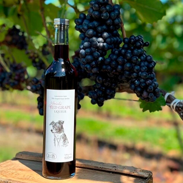 メルロー　リキュール　果汁50%