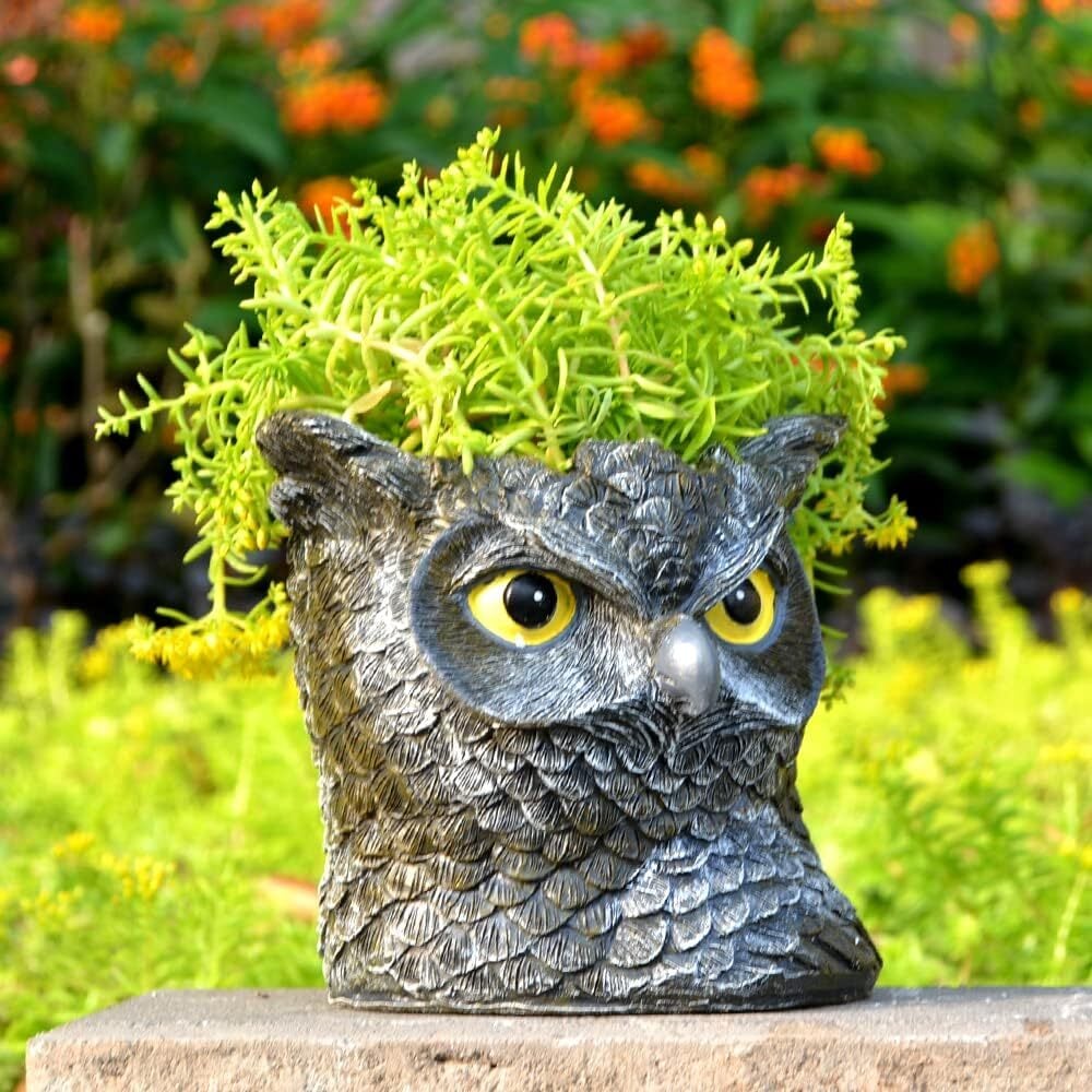 鉢 フクロウ 植木鉢 多肉植物 寄せ植え 装飾 フラワーポット ガーデン