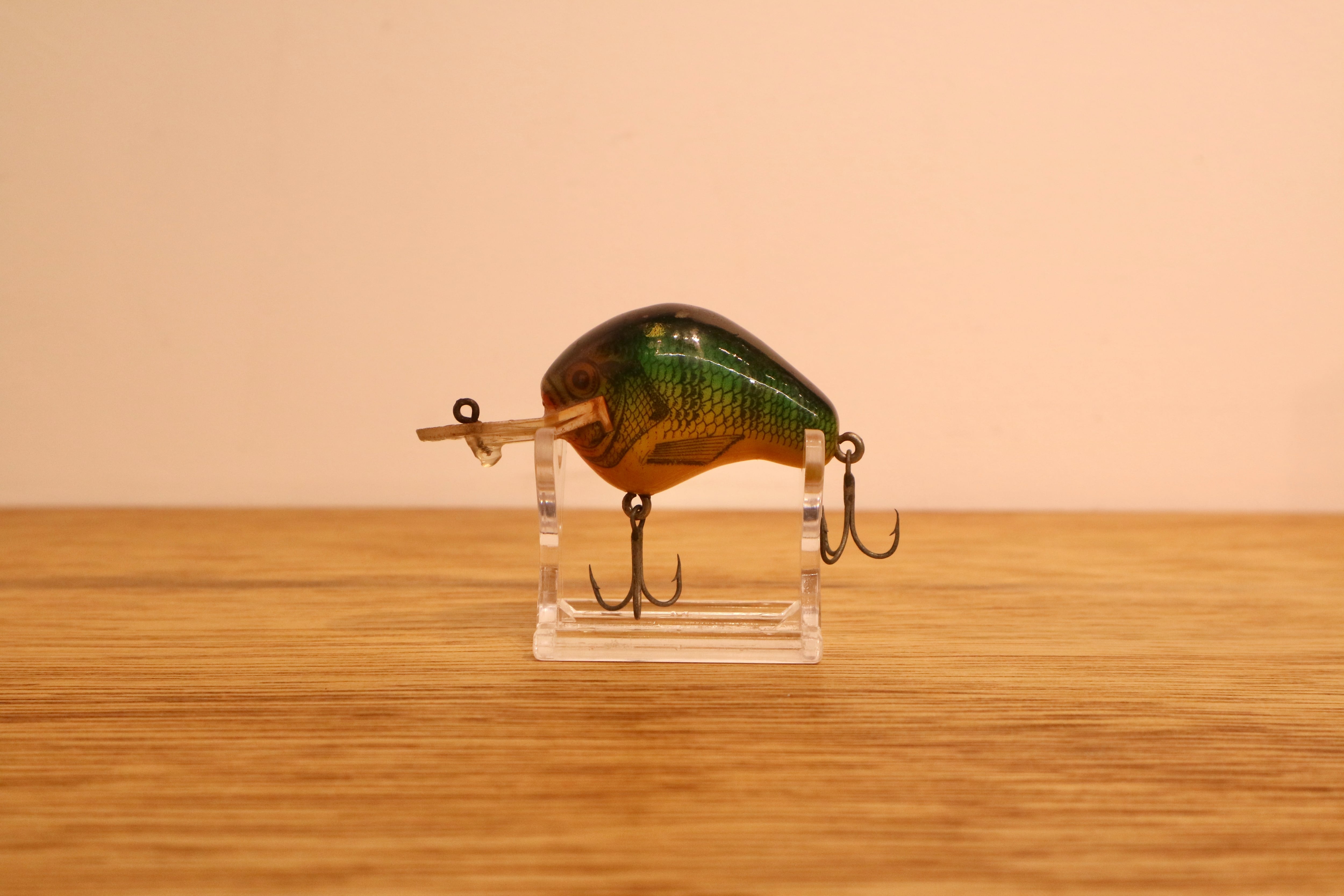 CORMORAN (コーモラン) / ダイブブリーム