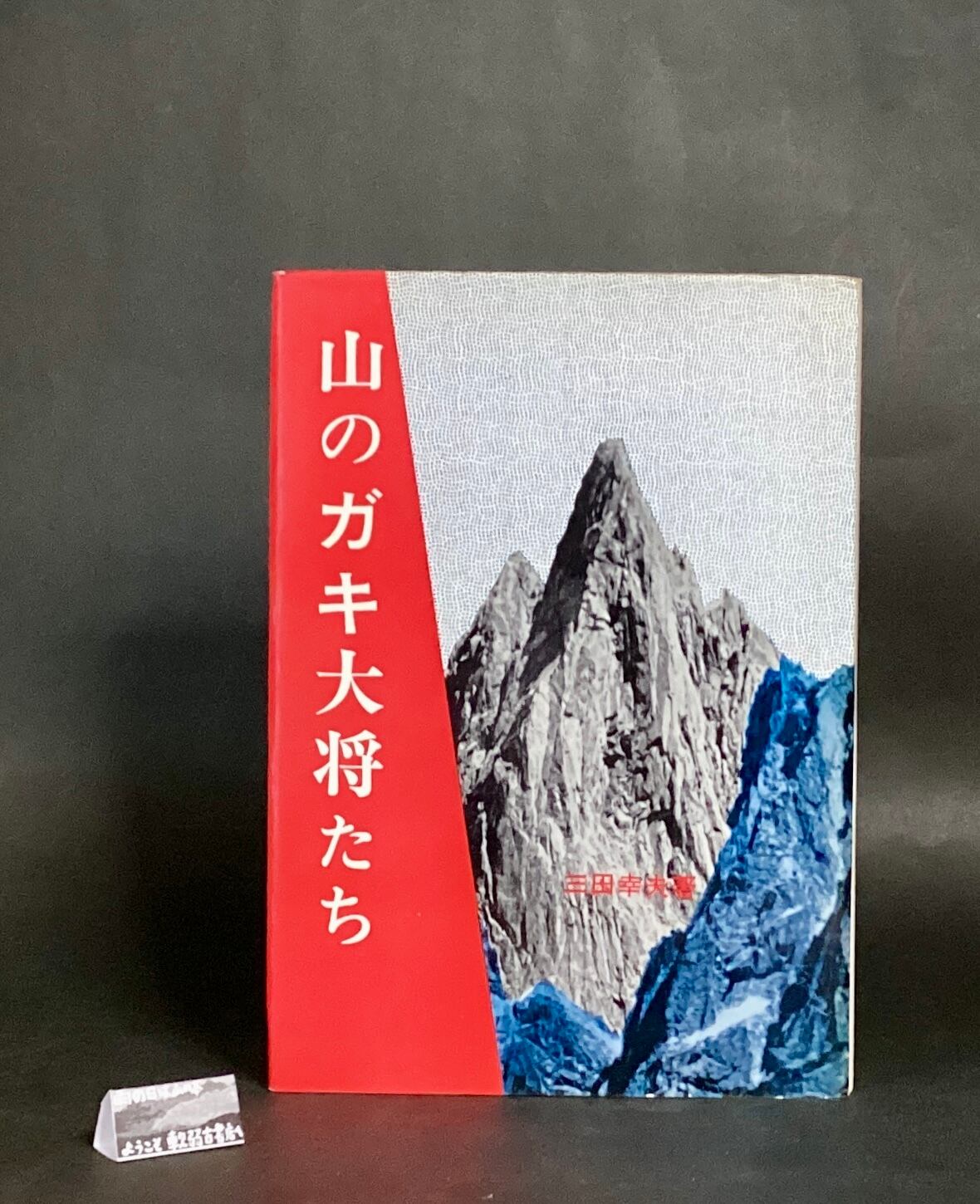 REVELATIONS: Tsurisaki Kiyotaka（釣崎清隆） | Pay ID