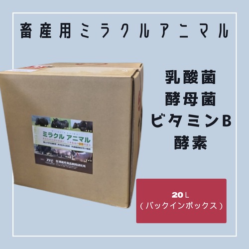 畜産用 ミラクルアニマル 20L 乳酸菌 酵母菌 ビタミンB 酵素 植物発酵エキス混合飼料 A飼料 日本全国送料無料