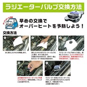 PIAA(ピア) 車用 ラジエターバルブ 108kPa レギュラータイプ シルバー SV56