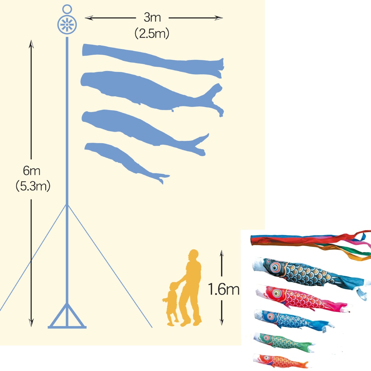 ゴールド鯉庭園スタンドセット　２.５M８点セット（徳永鯉のぼり）