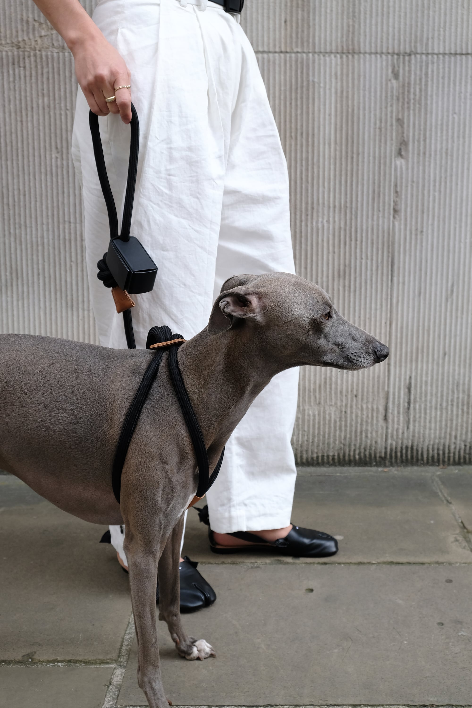 boo'oh オールインワンハーネス　ダークグレー　M Boo'oh】Ray Harness (ブーオー・レイハーネス) オールインワン