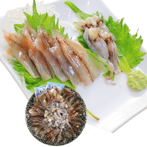 ほたるいかお刺身〖冷蔵品〗【R7年4月22日～27日:お届け期間㊅＜候補日A＞】［内臓処理済み：胴体・ゲソ］