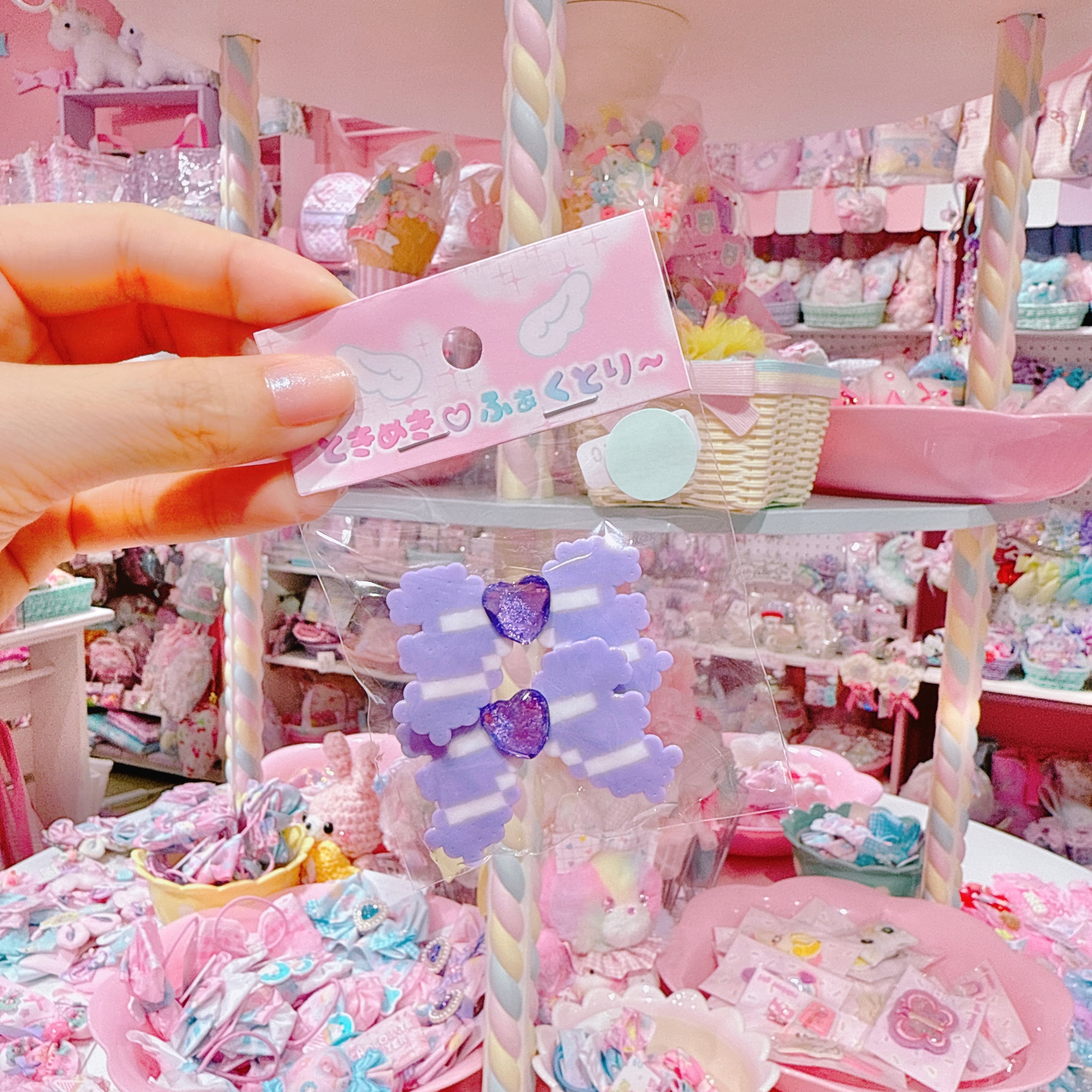 【R1】10-10ツインヘアクリップ