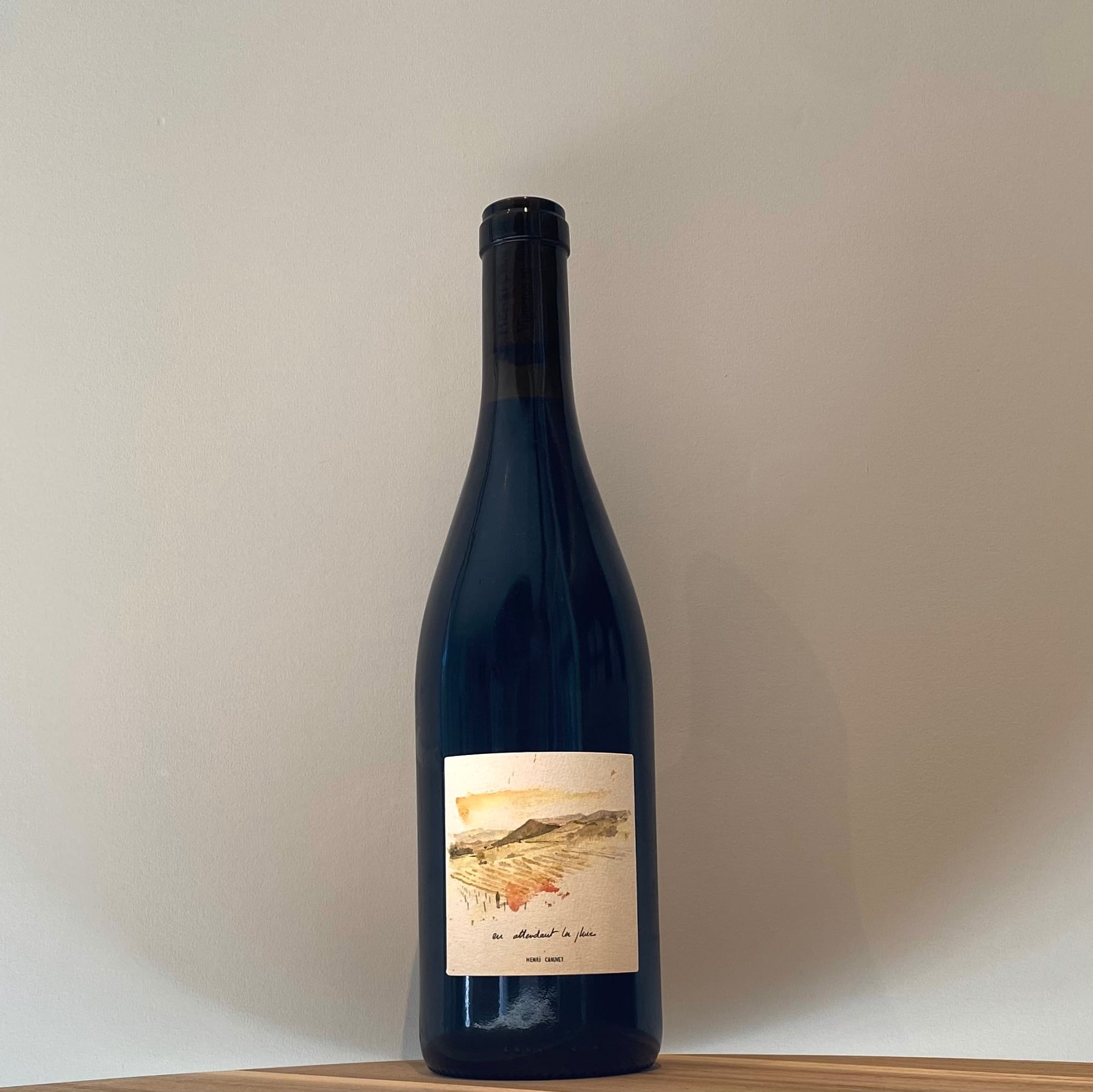 G21【2021】/マジエール | ＜ナチュラルワイン通販＞TAKASAKI WINE