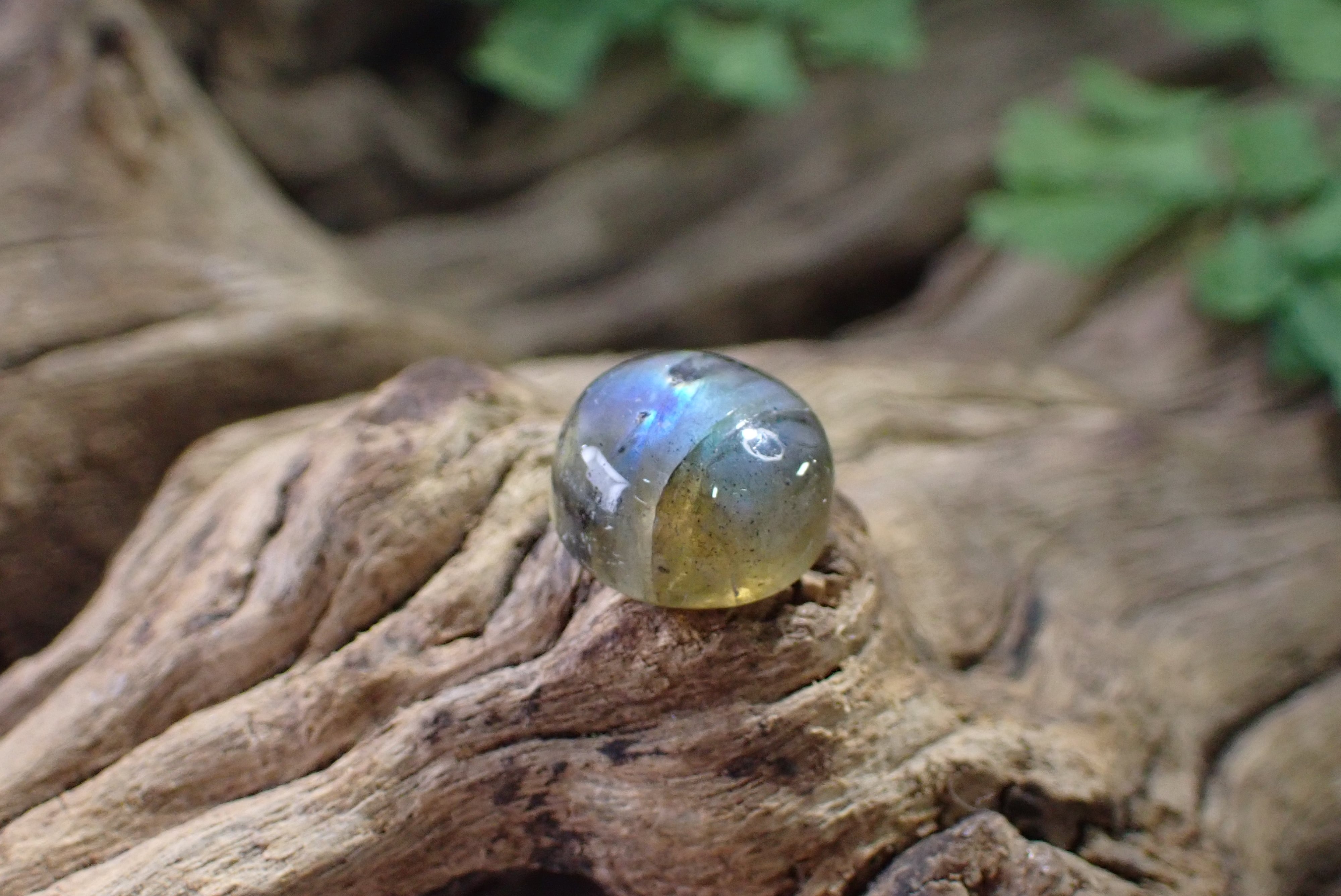 アクアマリン×レピドライト×ピンクトルマリン共生 | Pay ID