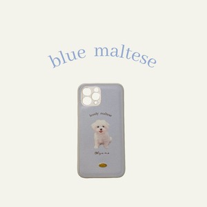 iceblue maltese