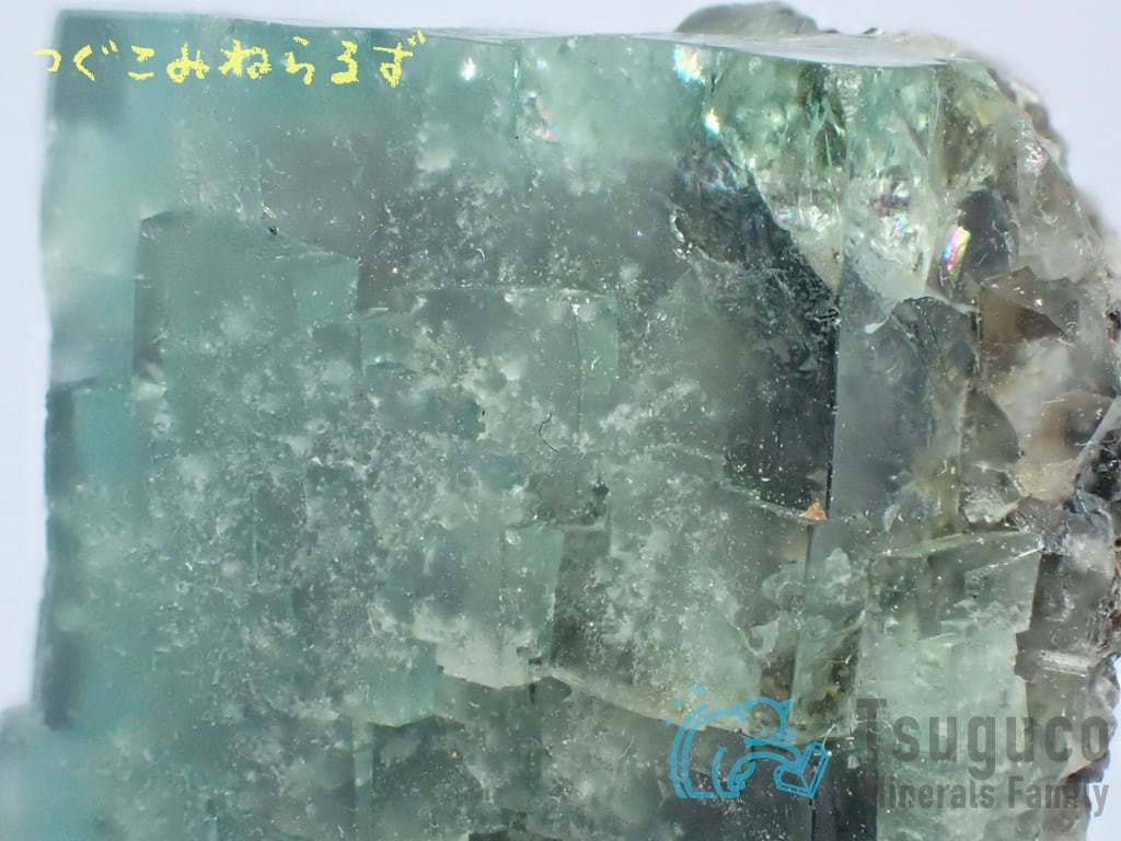フローライト 蛍石 Fluorite イギリス TM-0047
