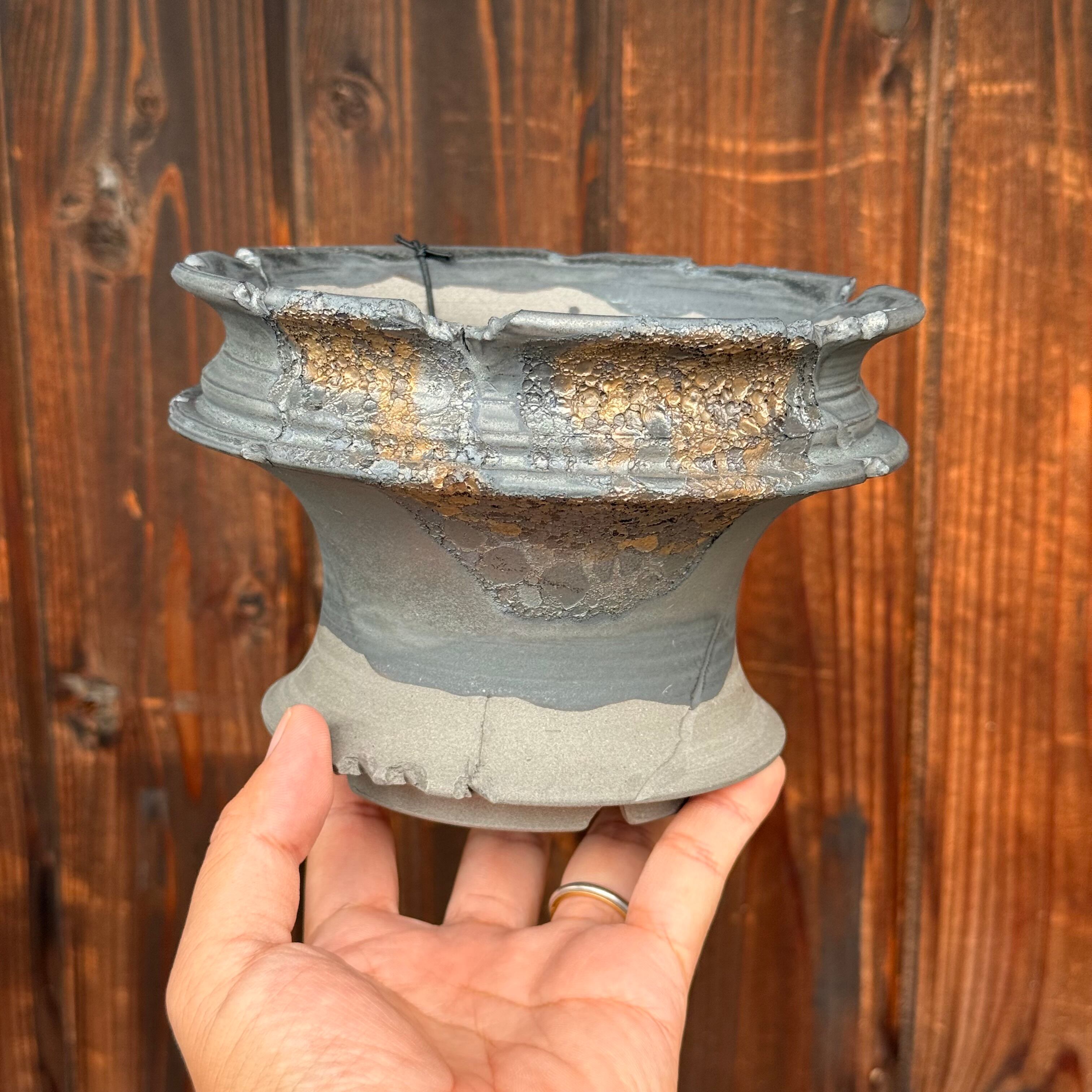 植物鉢】美原 良 pep 0131 RYO MIHARA 陶器鉢 <9> | A-PLANTS