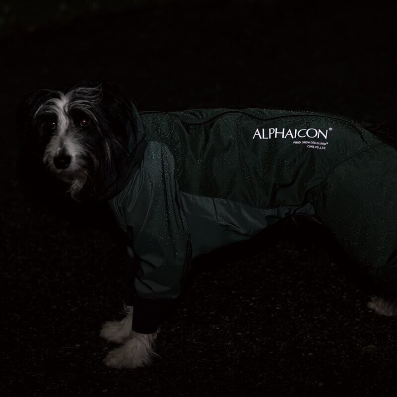 2023アルファアイコンスノードッグガードM ハンター