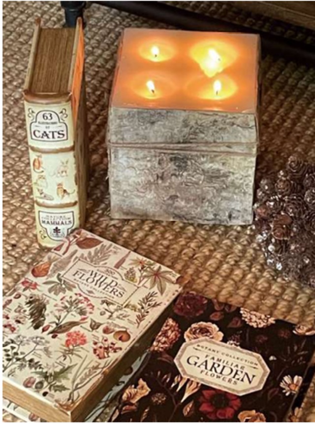 アンティークルックエンプティブックボックス  [カラー: G]