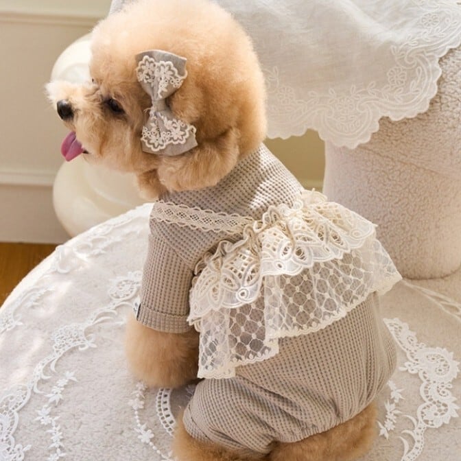 すぐにお届け】犬服 レースフリルキャミ重ね着風ロンパース トップス