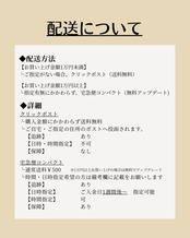 [Outlet]Zodiac signsーおとめ座（2607-1）