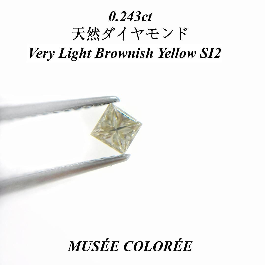 ALL | MUSÉE COLORÉE