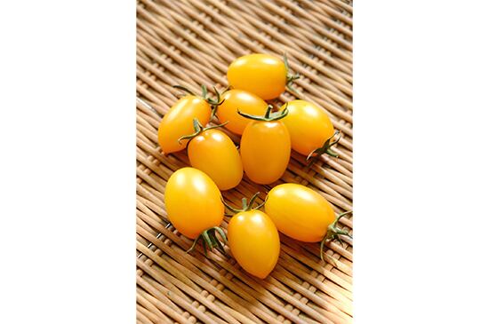 【ジューシートマト】イエローアイコ・100g(6/19発送開始)